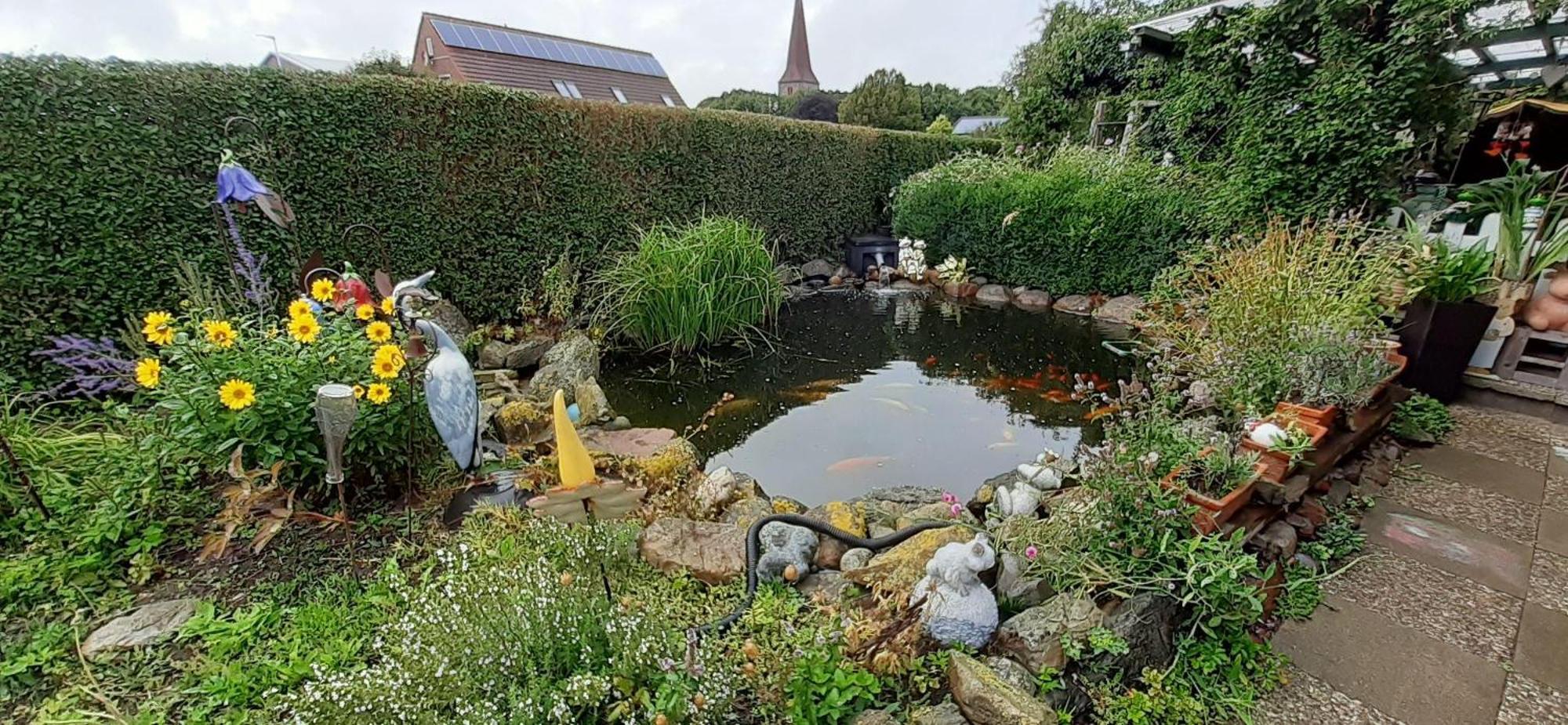 Ferienwohnung-Wildblume Petersdorf auf Fehmarn Eksteriør bilde